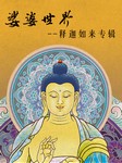娑婆世界释迦如来专辑