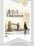 遇见你在我最美的年华