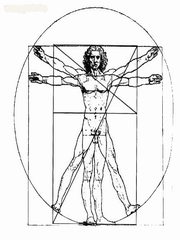 百家讲坛之生命的奥秘