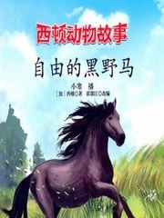 自由的黑野马
