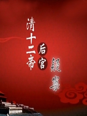 清十二帝后宫疑案