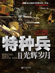 特种兵2光辉岁月