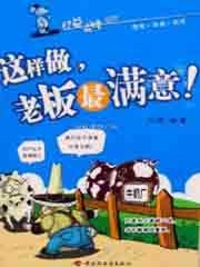 这样做老板最满意