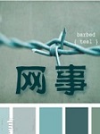 网事