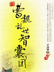 曹魏乱世智囊团