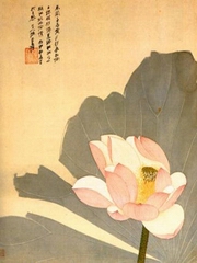 菩提念佛堂 法师辅导