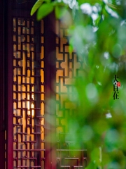 中观庄严论解说 法师辅导