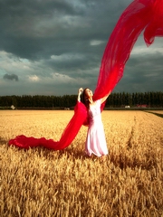 在希望的田野上