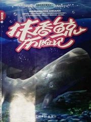 抹香鲸历险记