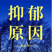 抑郁、焦虑、双相、惊恐、疑病、躯体障碍的原因