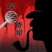 探案奇闻